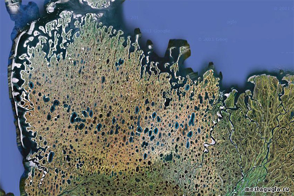 Массив озер в устье Лены в картах Гугла
