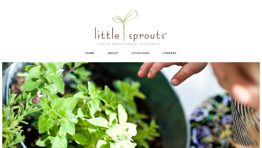 little-sprouts